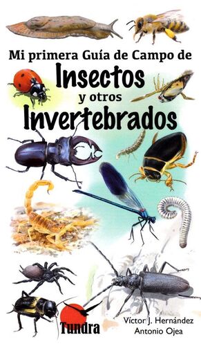 MI PRIMERA GUIA DE CAMPO DE INSECTOS Y OTROS INVER