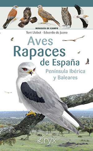 AVES RAPACES DE ESPAÑA, PENÍNSULA IBÉRICA Y BALEARES