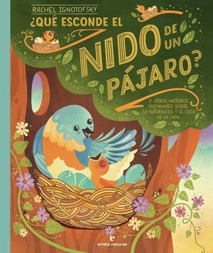 ¿QUÈ ESCONDE EL NIDO DE UN PÁJARO?