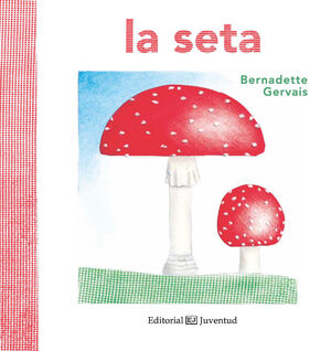 LA SETA. JUVENTUD