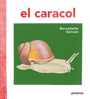 EL CARACOL. JUVENTUD