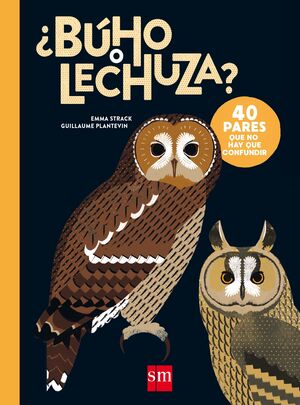 ¿BÚHO O LECHUZA?